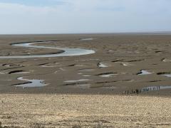 More mud